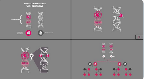 いんやく　9-14-620